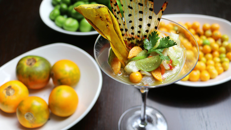 ceviche-de-pez-leon-DOC