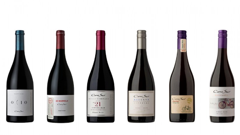 vino cono sur grande