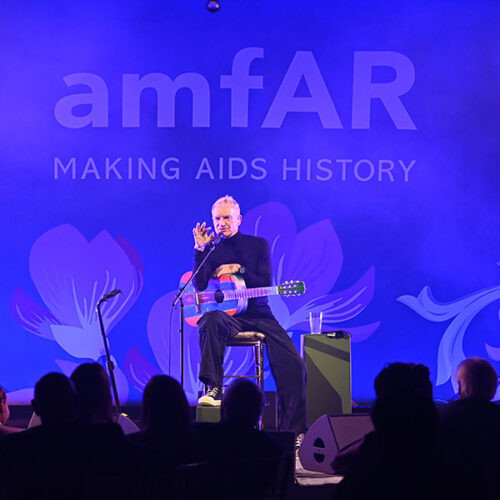 Amfar-Palm-Beach-Sting-2024