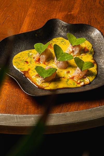 Quinto-Miami-2025-Spring-Hamachi-Crudo
