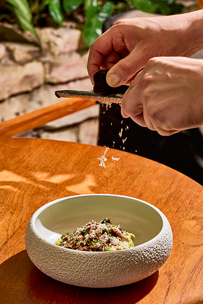 Quinto-Miami-2025-Spring-Pasta-y-Trufa-1