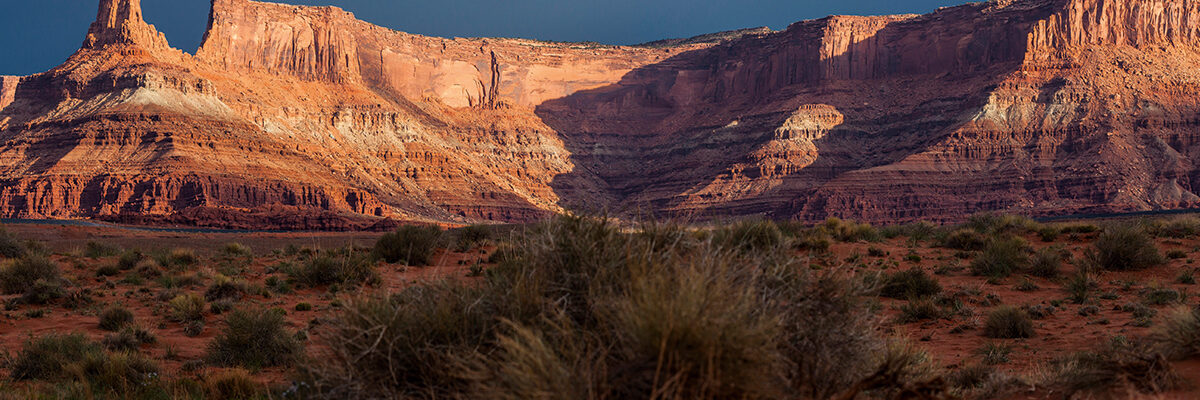 Parklands: explorando la belleza salvaje de los parques nacionales