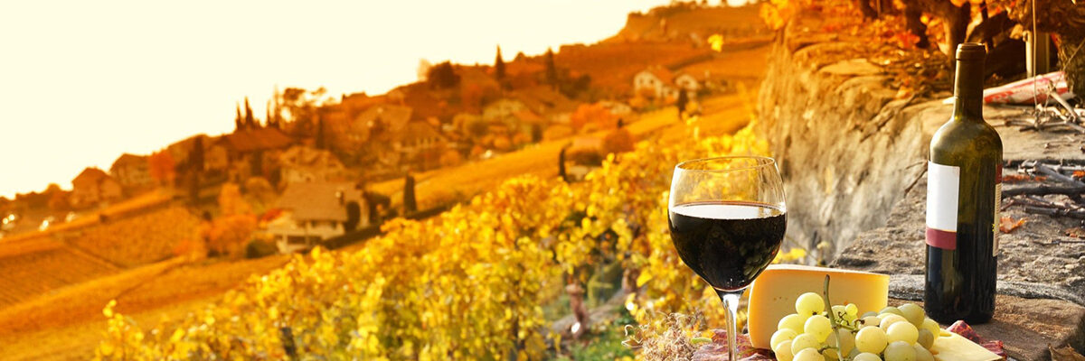 4 vinos europeos ideales para disfrutar este otoño