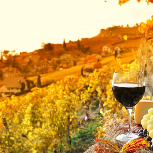 vinos-otoNno