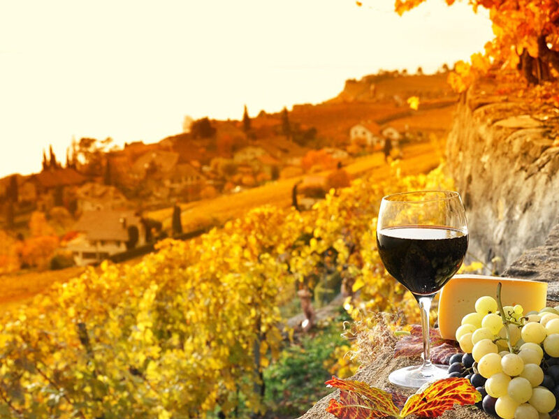 vinos-otoNno